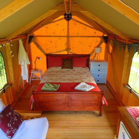 Hotel Omarama Oasis - Permaculture Glamping à Pohara Extérieur photo